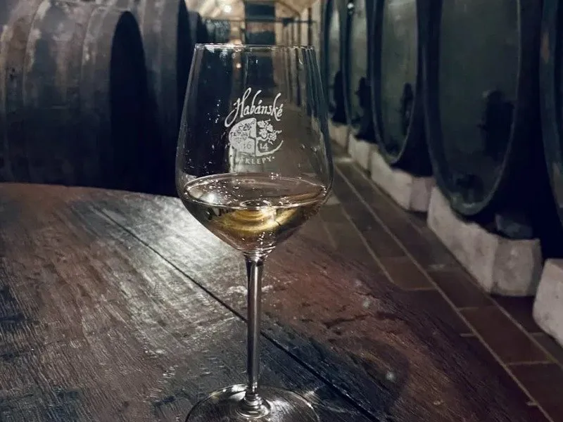Prohlídka Habánských sklepů a vinařství s degustací a dárkem