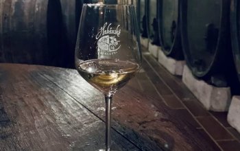 Prohlídka Habánských sklepů a vinařství s degustací a dárkem