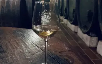 Prohlídka Habánských sklepů a vinařství s degustací a dárkem