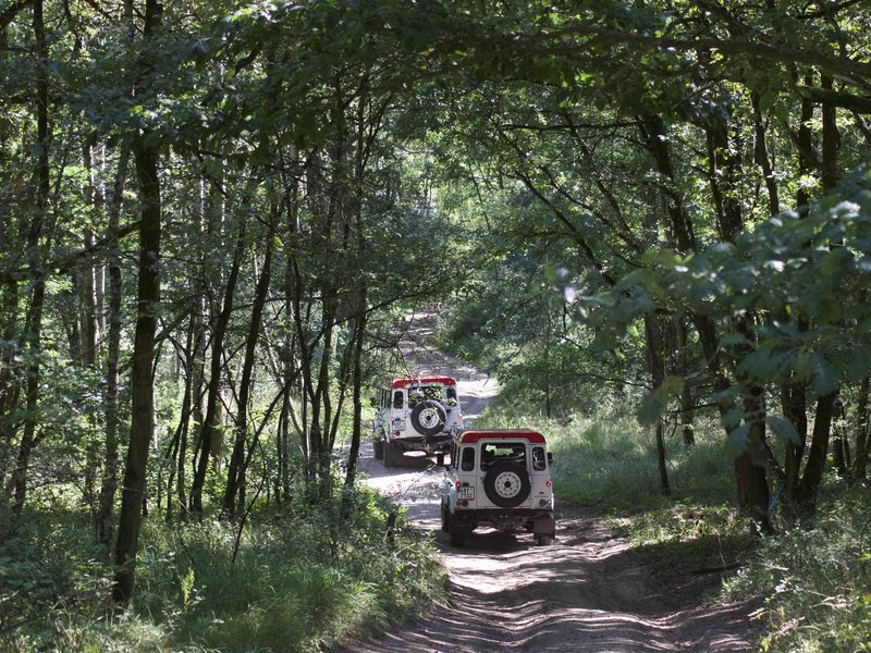 Land Rover off-road - celodenní trénink