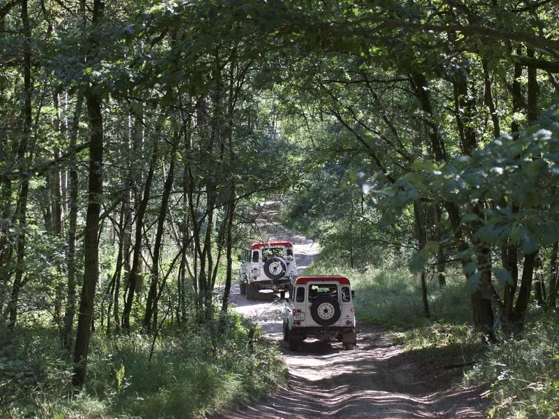 Land Rover off-road - celodenní trénink