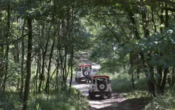 Land Rover off-road - celodenní trénink