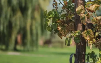 Zážitkové ubytování v sudu na Slovácku