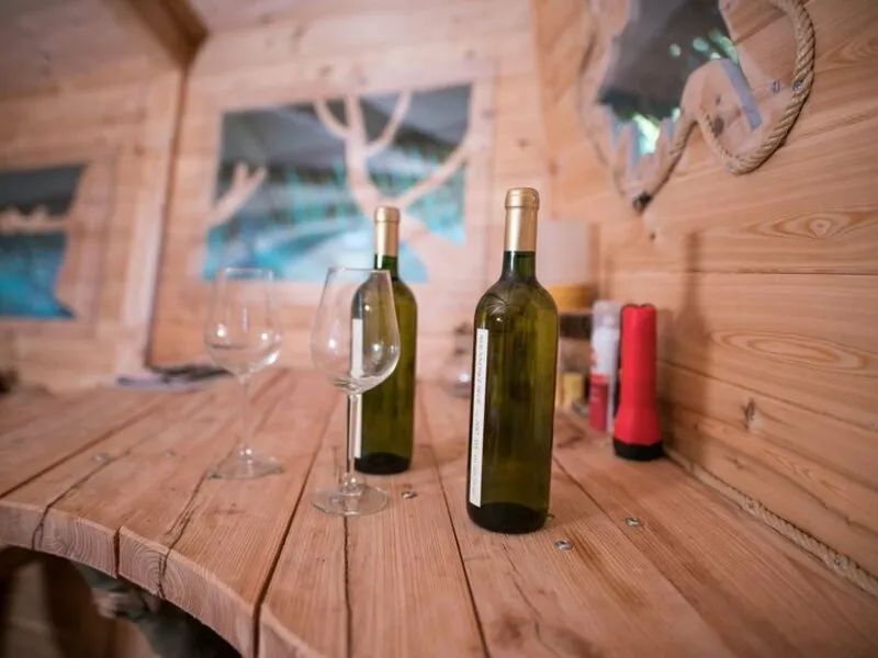 Ubytování v Treehouse pod Ještědem pro 2 + snídaně
