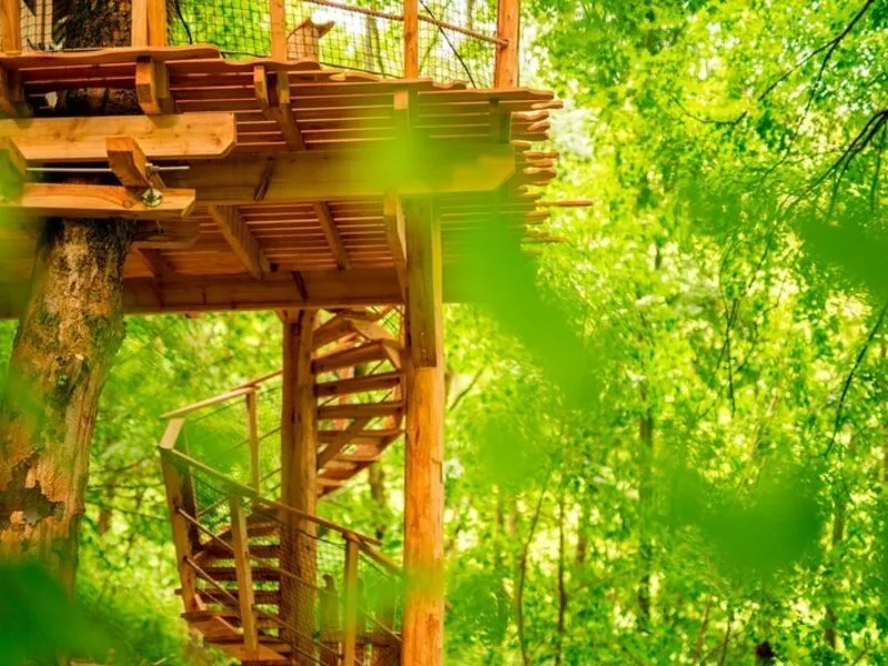 Ubytování v Treehouse pod Ještědem pro 2 + snídaně