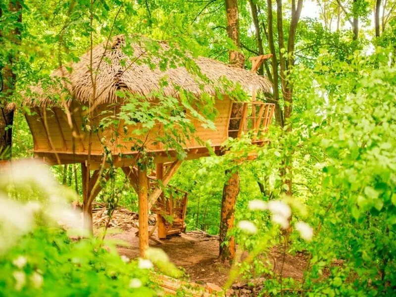Ubytování v Treehouse pod Ještědem pro 2 + snídaně