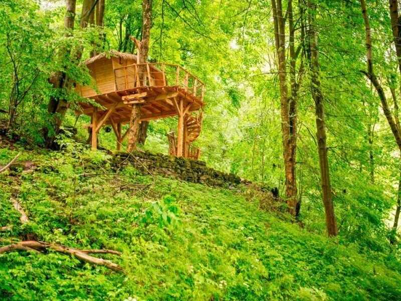Ubytování v Treehouse pod Ještědem pro 2 + snídaně