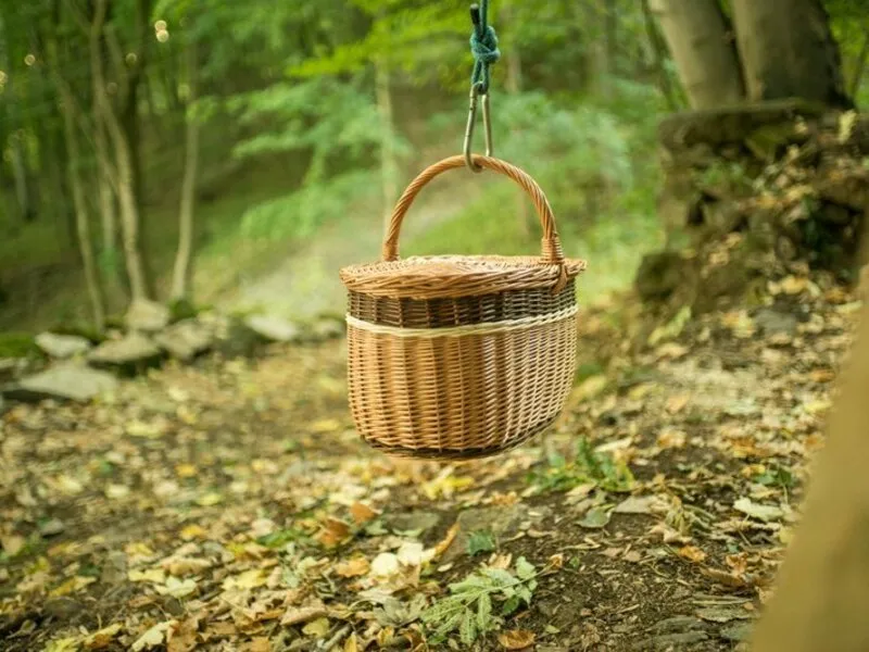 Ubytování v Treehouse pod Ještědem pro 2 + snídaně