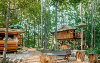 Ubytování v tree housu s vlastní saunou Ubytování v tree housu s vlastní saunou – dárek a zážitek