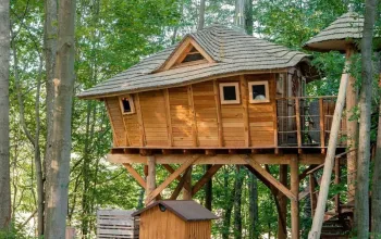 Ubytování v tree housu s vlastní saunou