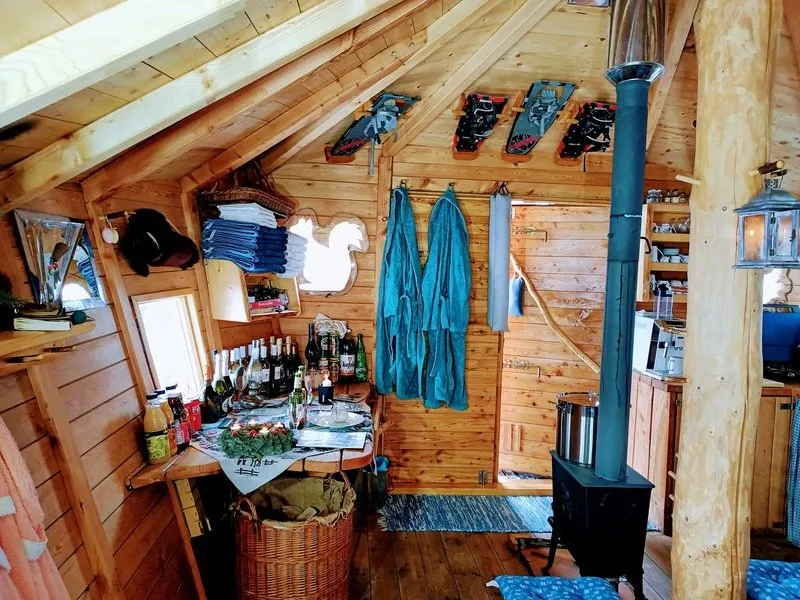 Ubytování v tree housu s vlastní saunou