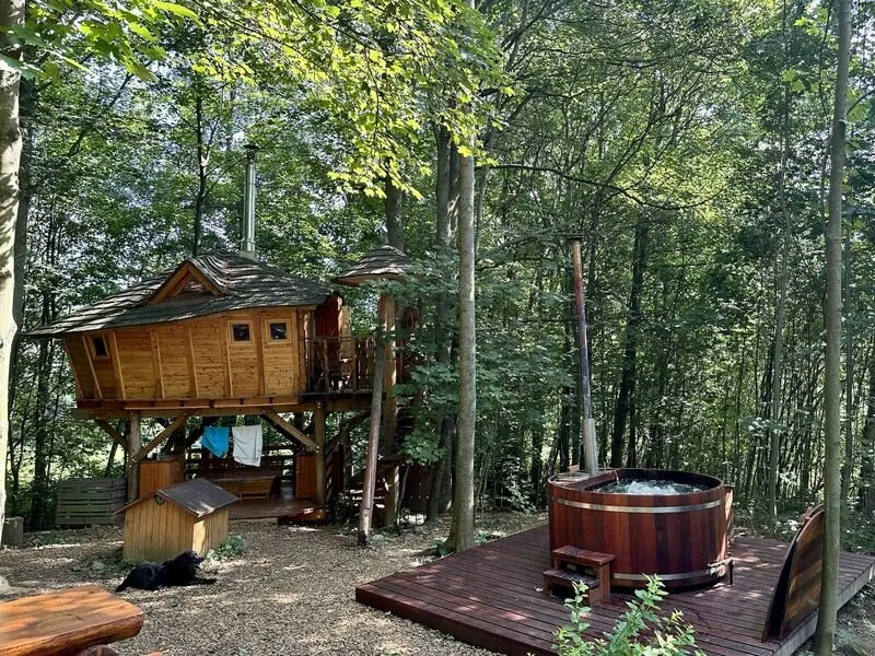 Ubytování v tree housu s vlastní saunou