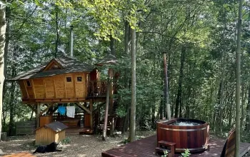 Ubytování v tree housu s vlastní saunou
