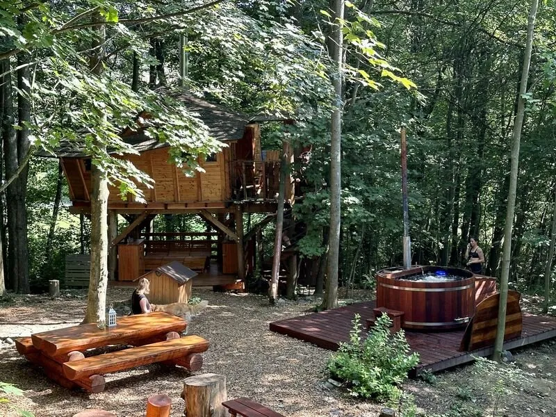 Ubytování v tree housu s vlastní saunou