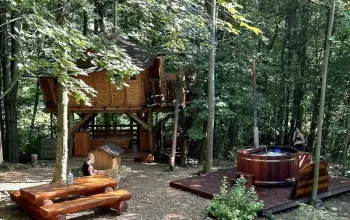Ubytování v tree housu s vlastní saunou
