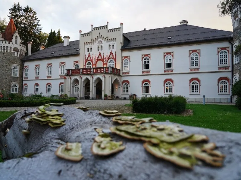 Degustační 6chodové menu v restauraci Chateau Herálec
