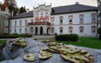 Degustační 6chodové menu v restauraci Chateau Herálec