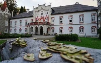 Degustační 6chodové menu v restauraci Chateau Herálec