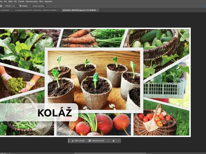 Kurz grafického designu a úpravy fotografií v Adobe Photoshop