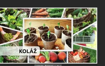 Kurz grafického designu a úpravy fotografií v Adobe Photoshop