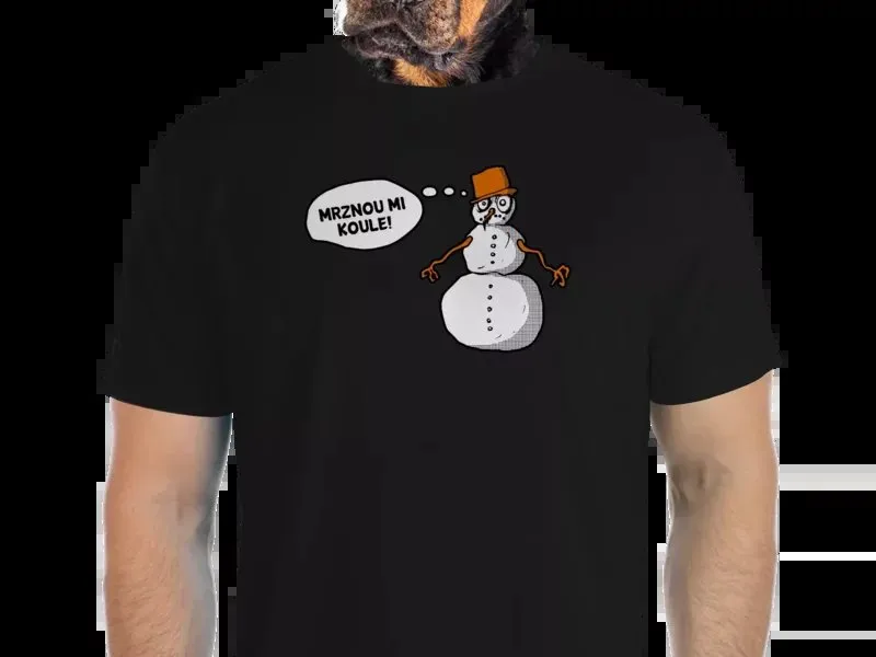 Vtipné tričko Bastard: Mrznou mi koule