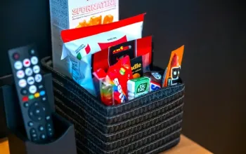 Pobyt v hotelu Nobilis + vstup do muzea Škoda