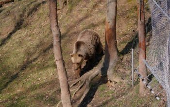Vstup do Zoo Tábor