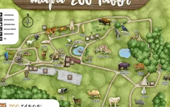 VIP vstup do Zoo Tábor s ošetřovatelem až pro 4 osoby