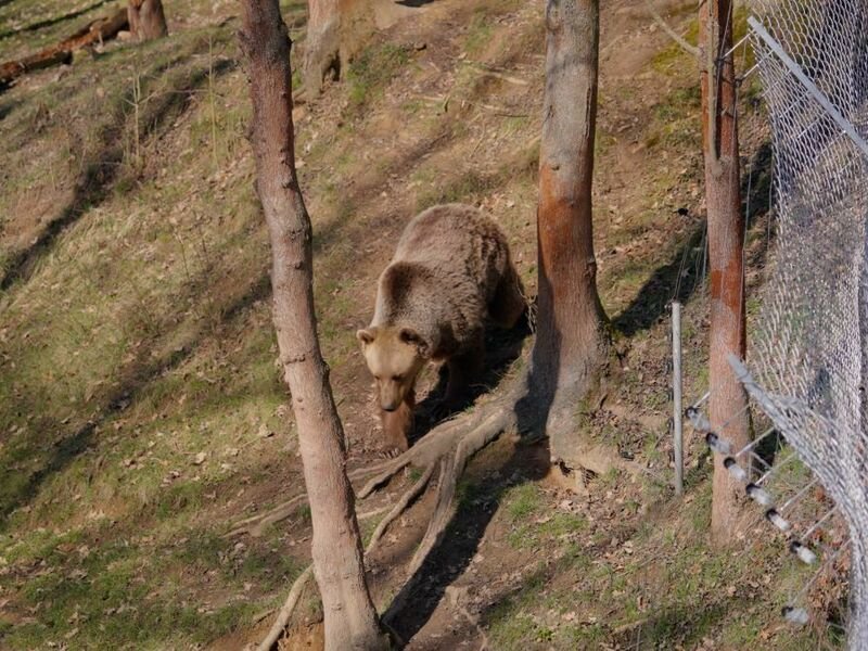 VIP vstup do Zoo Tábor s ošetřovatelem až pro 4 osoby