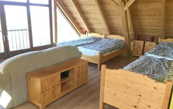 Zážitková noc v zoo