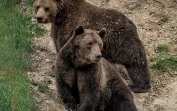 Zážitková noc v zoo