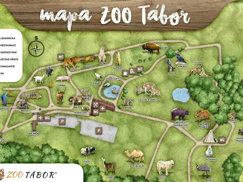 Zážitková noc v zoo