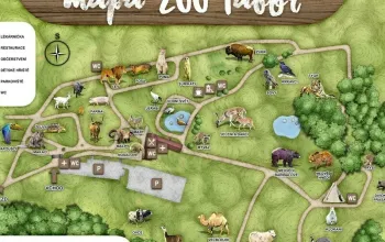 Zážitková noc v zoo