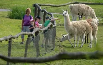Celodenní vstup do Farmaparku Soběhrdy
