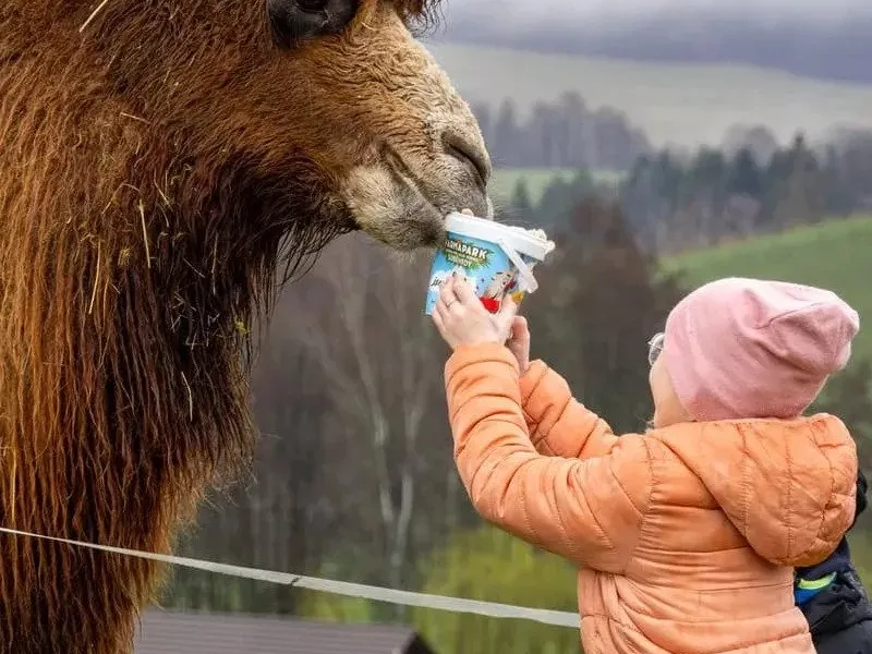 Celodenní vstup do Farmaparku Soběhrdy