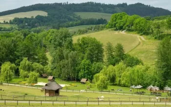 Celodenní vstup do Farmaparku Soběhrdy