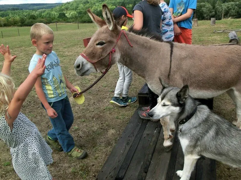 Rodinná exkurze na farmě