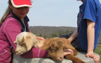 Rodinná exkurze na farmě