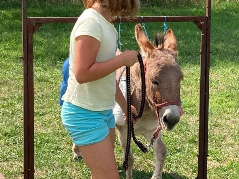 Rodinná exkurze na farmě