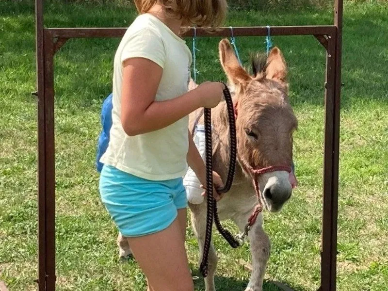 Rodinná exkurze na farmě