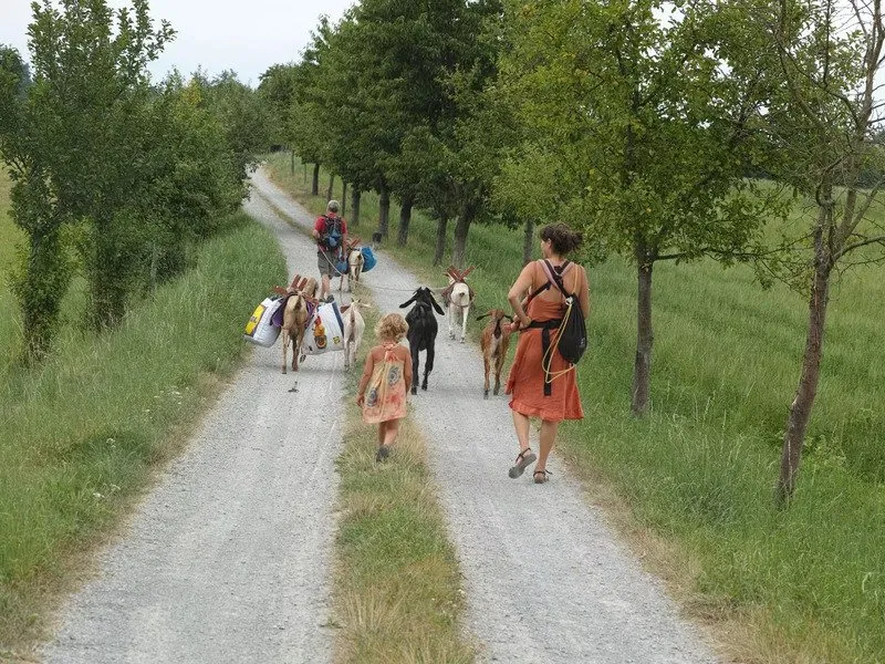 Procházka, výprava či piknik s kozou