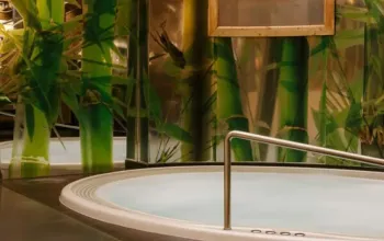 Celodenní vstup do saunového světa + konzultace a drink se saunérem
