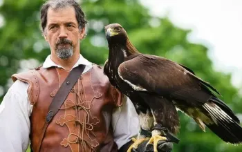 Severní Čechy: Zážitkové sokolnictví Severní Čechy: Zážitkové sokolnictví – dárek a zážitek
