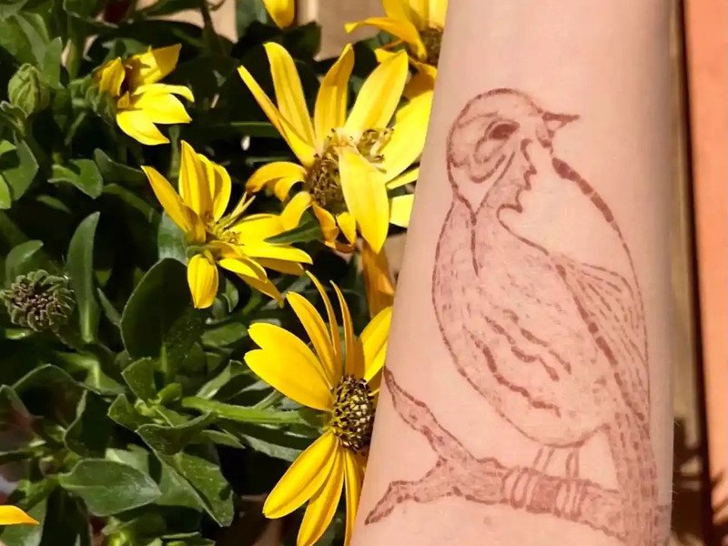 Malování na kůži přírodními barvami: henna nebo jagua