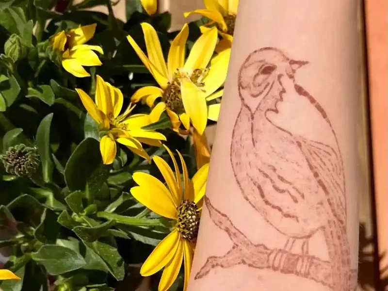 Malování na kůži přírodními barvami: henna nebo jagua