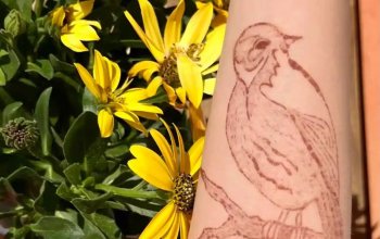 Malování na kůži přírodními barvami: henna nebo jagua