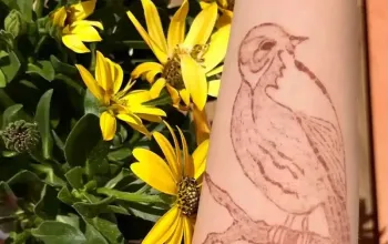 Malování na kůži přírodními barvami: henna nebo jagua