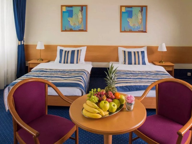 Wellness pobyt v Top Hotelu Praha **** s polopenzí