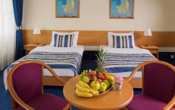 Wellness pobyt v Top Hotelu Praha **** s polopenzí