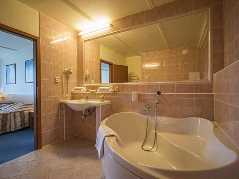 Wellness pobyt v Top Hotelu Praha **** s polopenzí